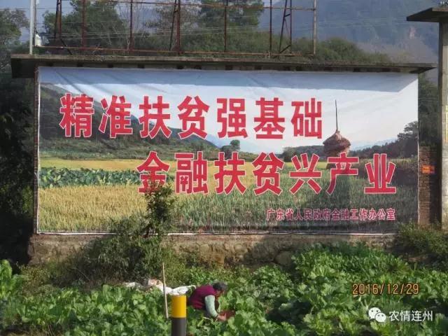 【校友风采】博士来扶贫 精准又精彩——记“省五一劳动奖章”获得者张涛校友 