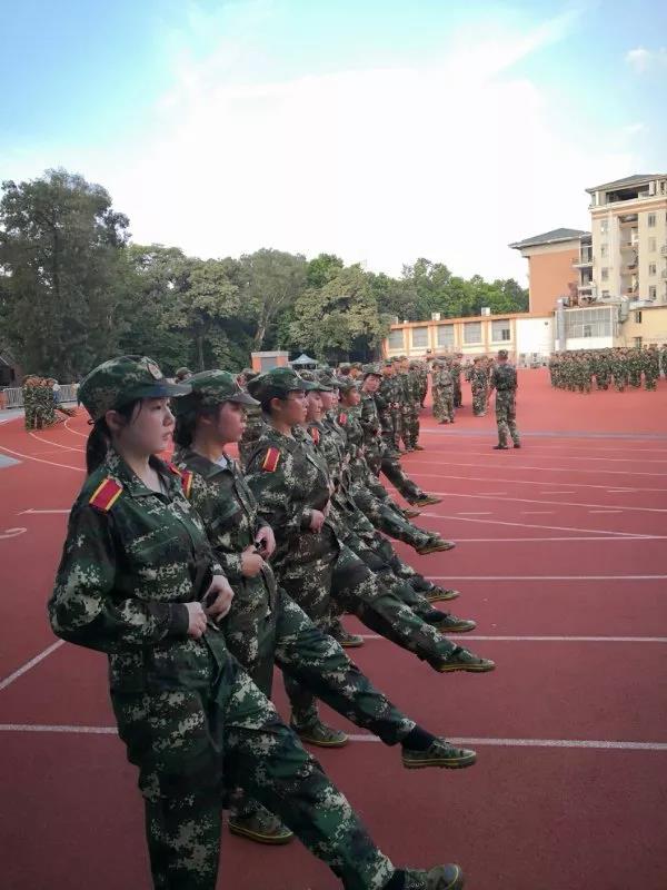 中大威廉广东农村调研活动启动